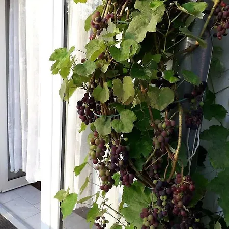 Apartman S Vlastni Terasou * Frymburk